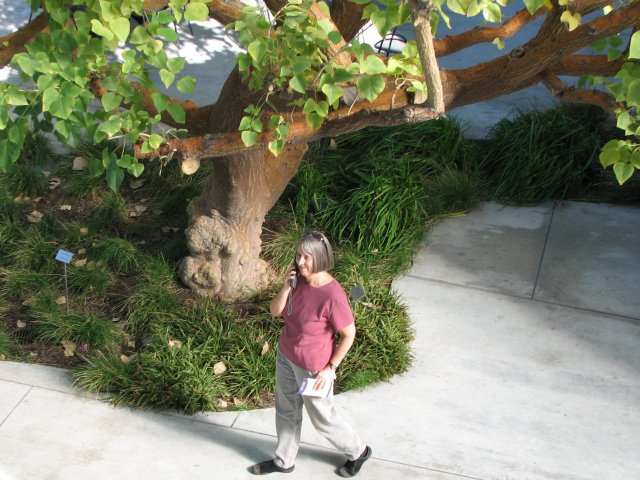 Walt Disney Concert Hall garden